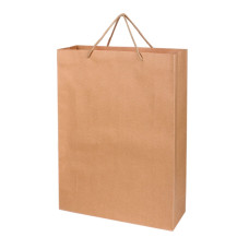 PB 963- Recycle Paper Bag